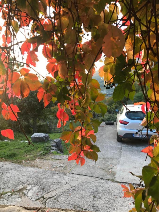 Etno Village Mihailovic II Herceg Novi Dış mekan fotoğraf