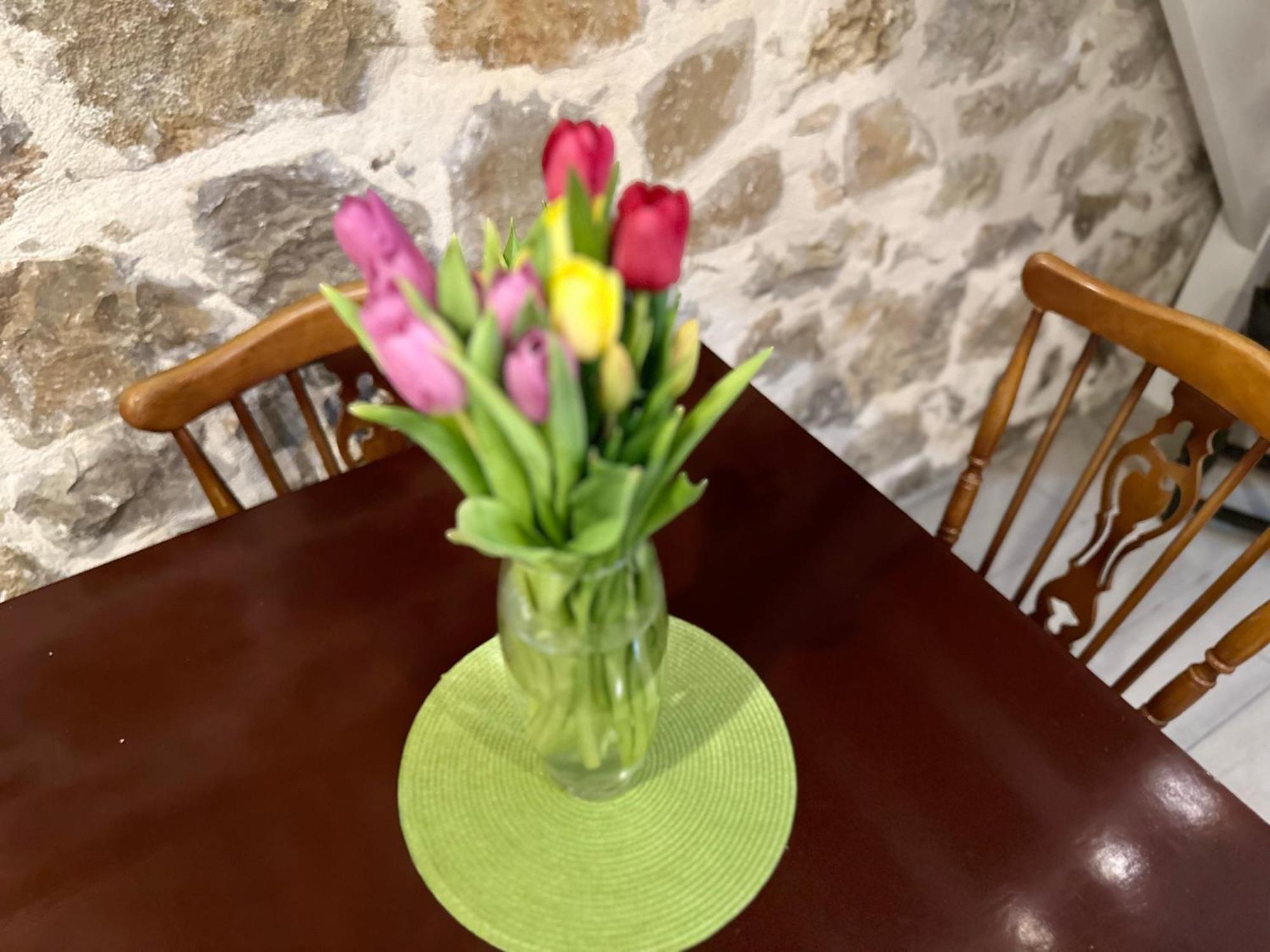 Etno Village Mihailovic II Herceg Novi Dış mekan fotoğraf